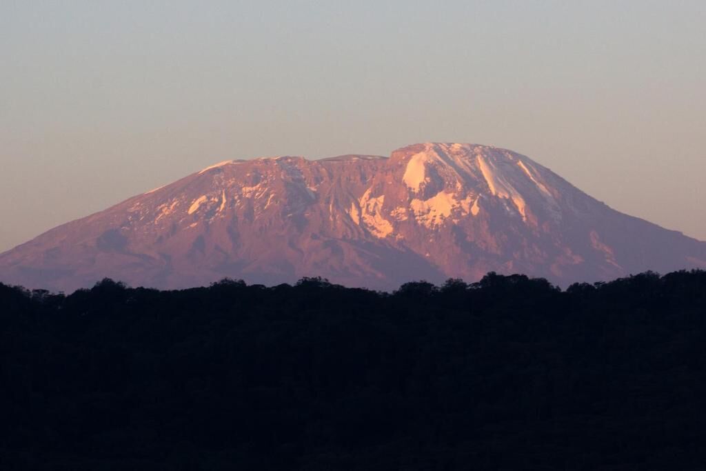 A mountain with snow-covered peaks and a forested foreground.