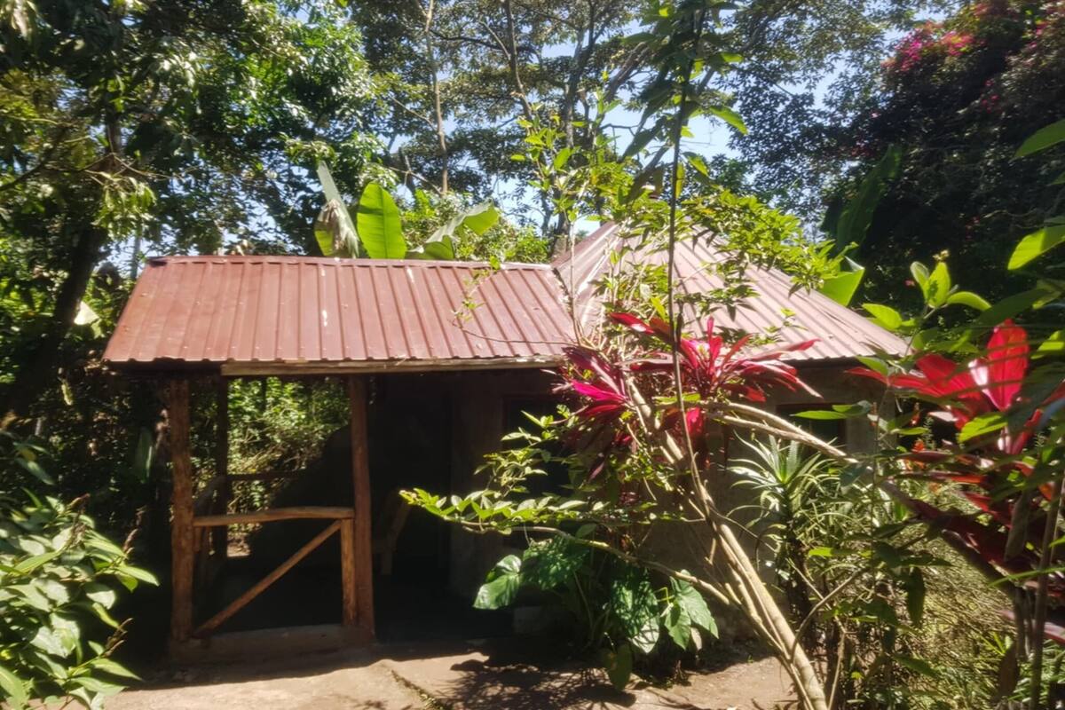 Habitación individual estándar | Wifi gratis 