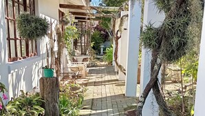 Un chemin pavé mène à un bâtiment agrémenté d’une pergola, lequel est entouré de diverses plantes en pot et de verdure.