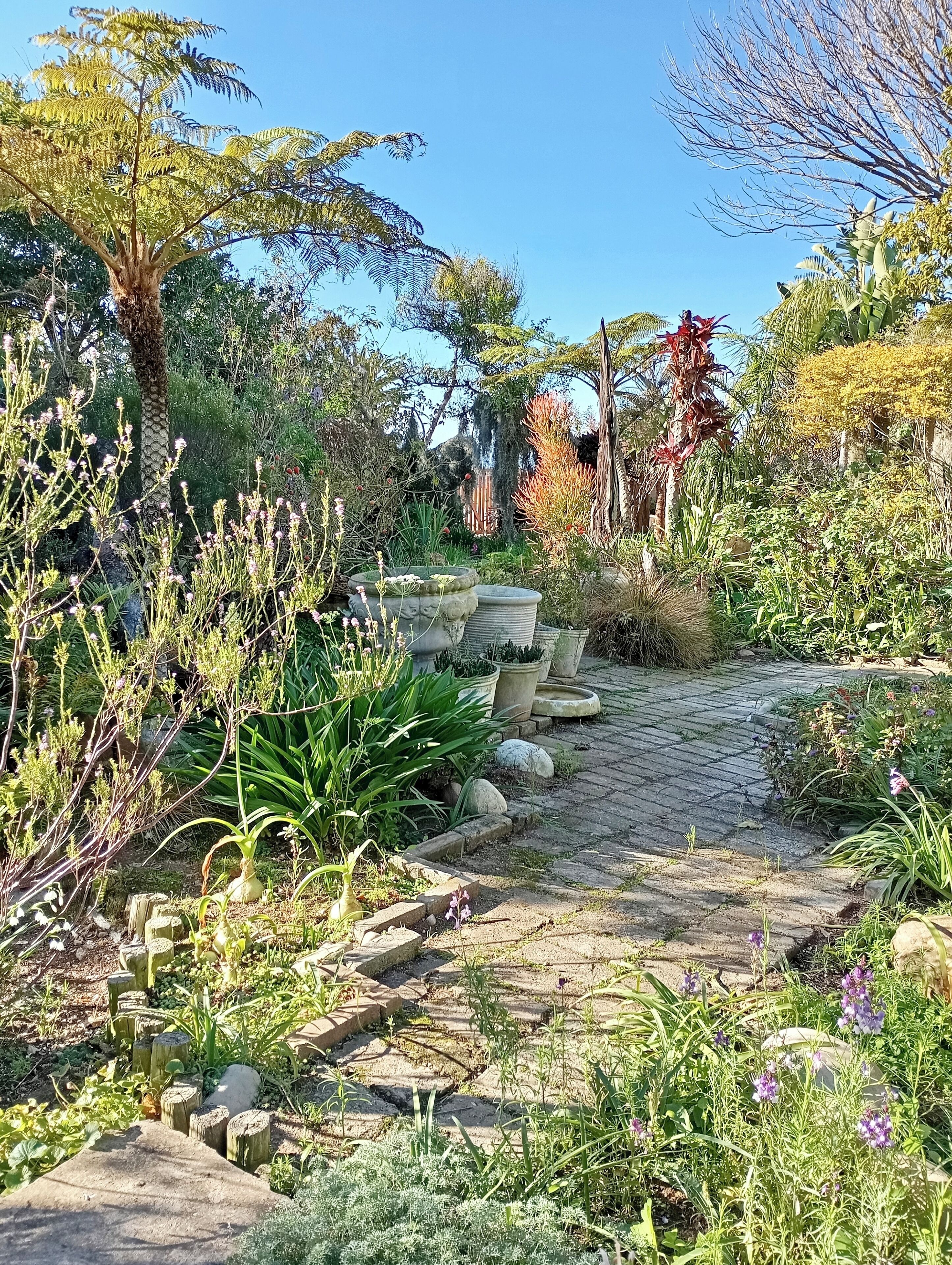 A garden with a stone pathway, various plants, and a small seating area.