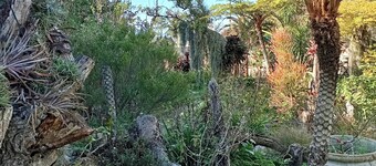 The Secret Garden Mossel Bay