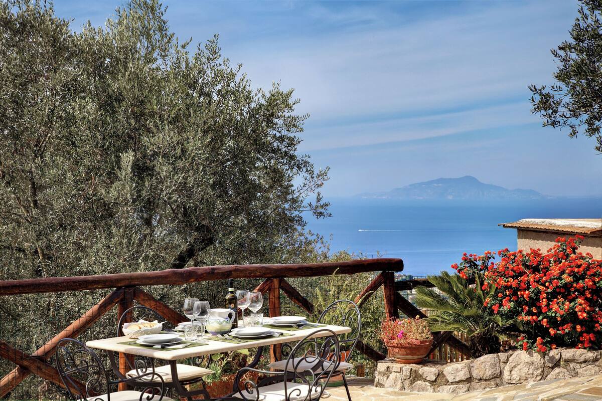 Panoramic House | Terrace/patio