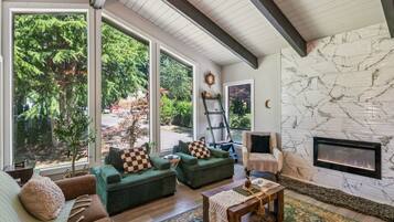 Smart TV, fireplace, books