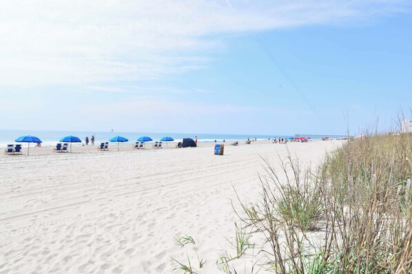 A beach with rows of blue umbrellas and beach chairs.