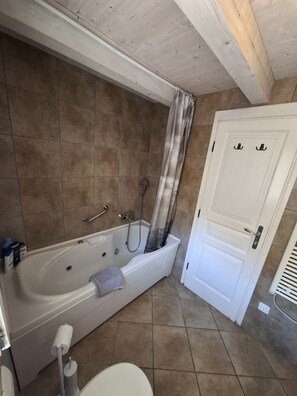 Douche, séchoir à cheveux, serviettes fournies, savon