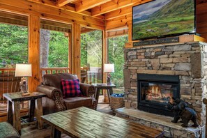 Fernseher, Kamin, Videospiele, Bücher