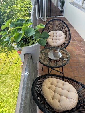 Terrace/patio - Vacation apartment Winterlingen (Winterlingen)