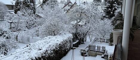 A snowy residential area with houses, trees, and a hedge.