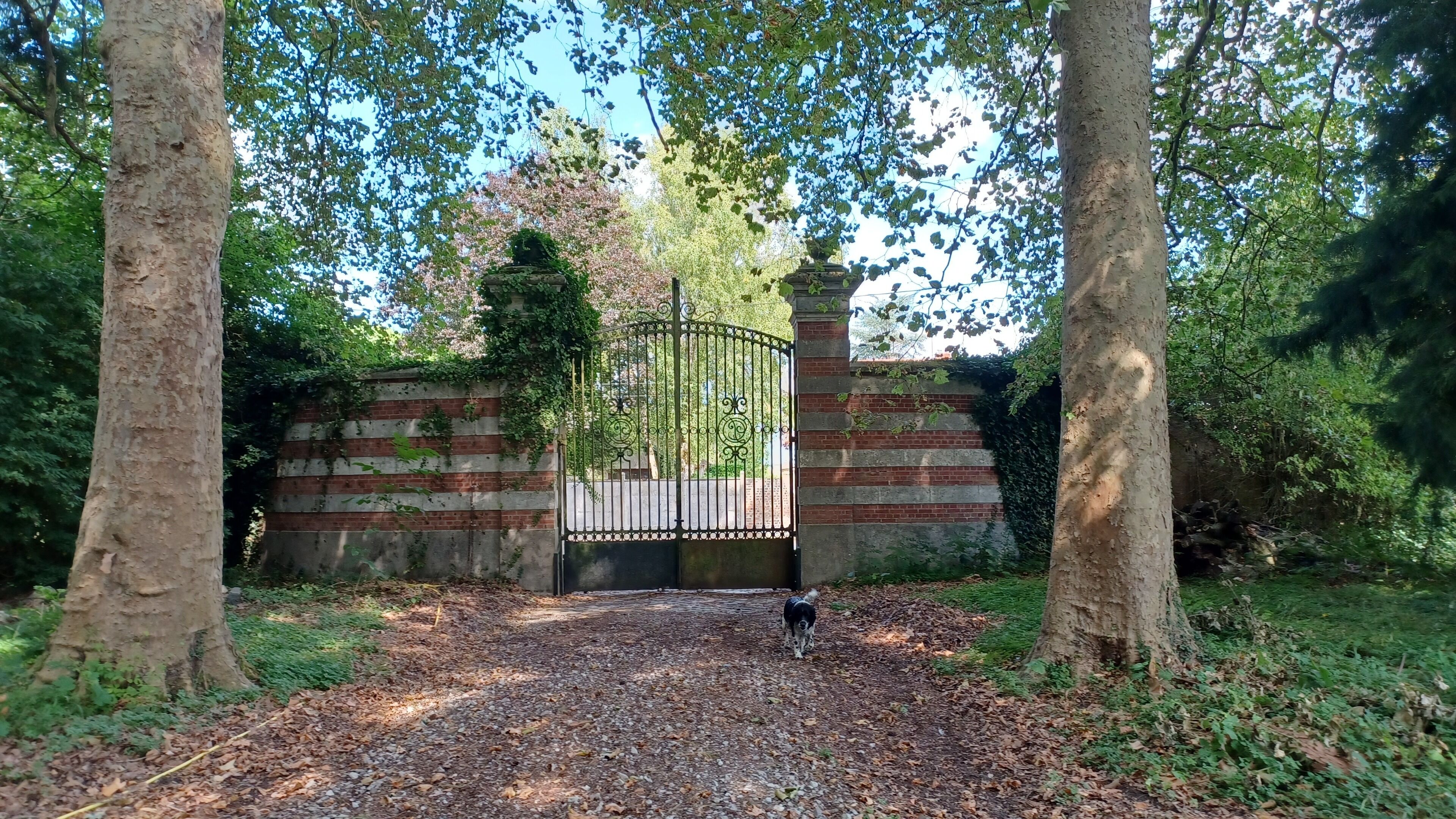 Terrein van de accommodatie