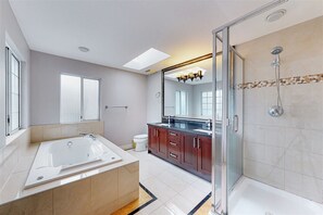 Shower, jetted tub, hair dryer, bidet - richmond beautiful house (Richmond)
