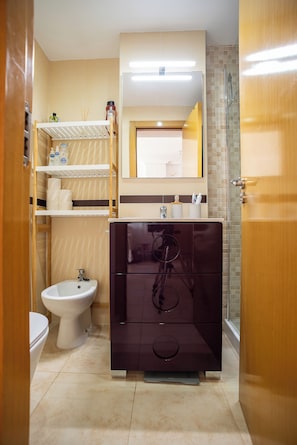 Sèche-cheveux, bidet, serviettes fournies, papier toilette