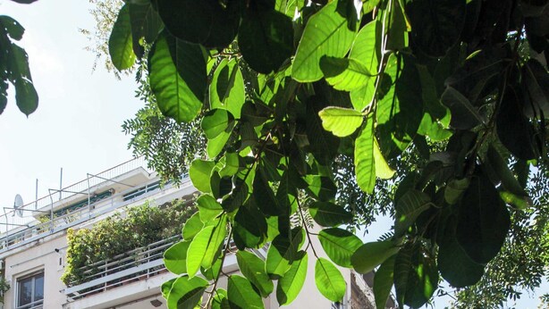 Un edificio residencial de varios pisos con balcones, un toldo verde y coches aparcados a lo largo de la calle.