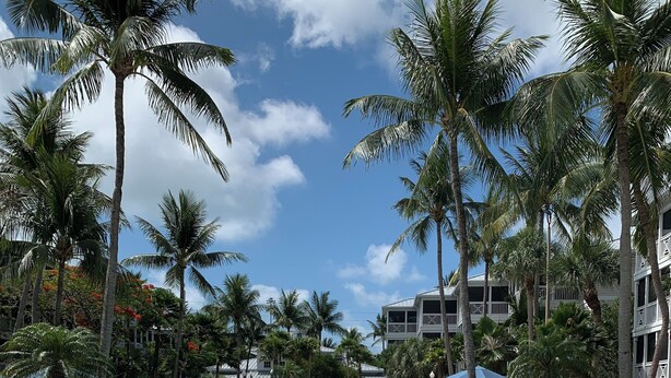 A swimming pool surrounded by palm trees and a building with balconies. - Rare Beach Front Resort in Key West, Florida- 2 Bedroom/2 Bathroom! (Key West)