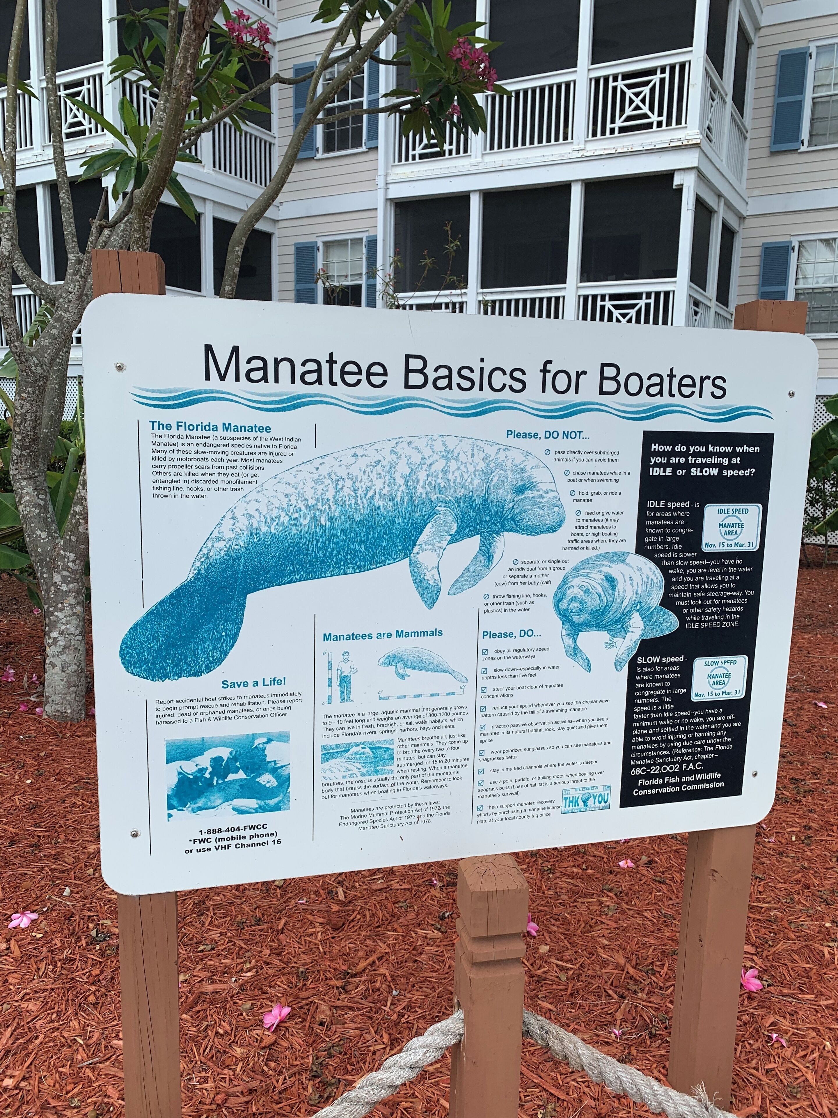A signboard titled 'Manatee Basics for Boaters' with information on manatee safety and conservation.