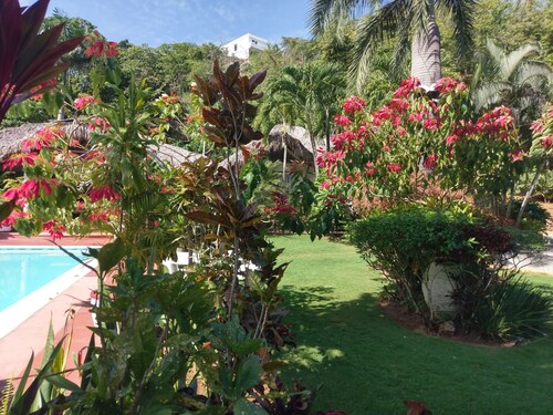 Guest house, 1 luxury room, Las Terrenas Dominican Republic