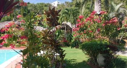 Guest house, 1 luxury room, Las Terrenas Dominican Republic