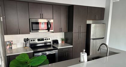 Luxe Modern Escape in Downtown Richmond - 2b2b