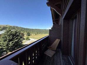 Property grounds - 100m from ski slopes, 3rd floor, view ski slopes, swimming pool, balcony, ski locker, 76m² (Les Saisies)