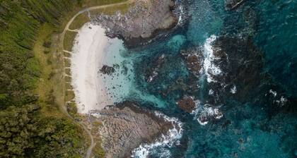 Seabreeze on the Beach "Brise"