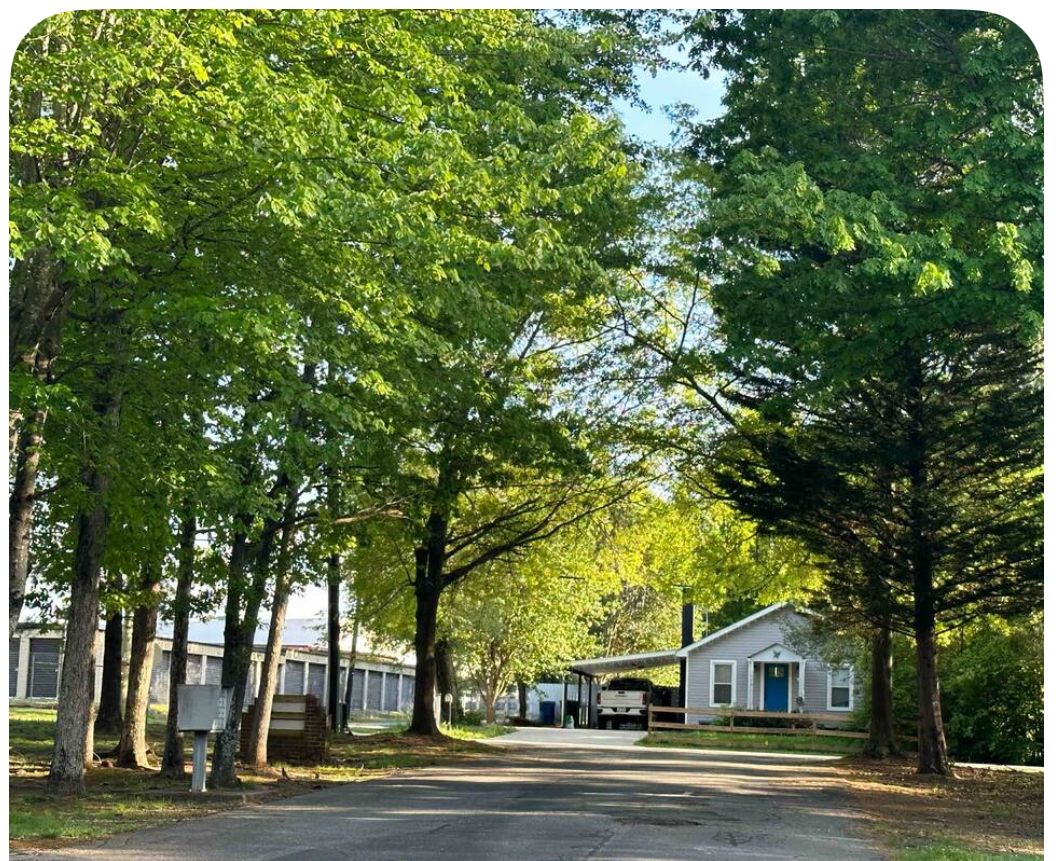Una calle residencial bordeada de árboles y una casa con porche.