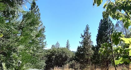 Charming cabin in wonderful Nevada City with AC