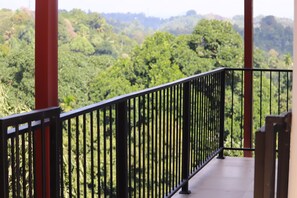 A balcony with a black metal railing overlooking a lush green forest.