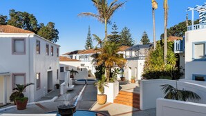 A courtyard with a swimming pool, palm trees, and a fountain. - Sea Breeze - Orewa Oceanside Apartments (Orewa)