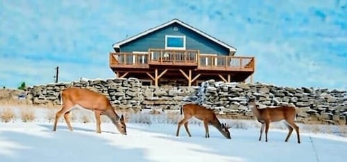 Lewistown Pine View Retreat's Newly-Built Modern Farmhouse