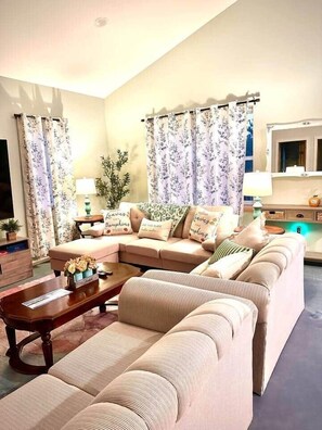 Smart TV, fireplace, books, computer monitors
