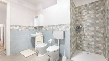 Shower, hair dryer, bidet, towels