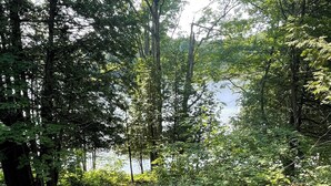 A forested area with a dirt path and a pile of rocks.