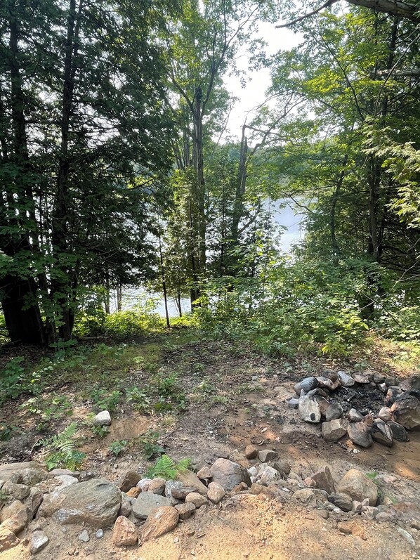 A forested area with a dirt path and a pile of rocks.