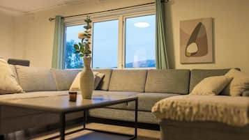 Fernseher, Arbeitsbereiche