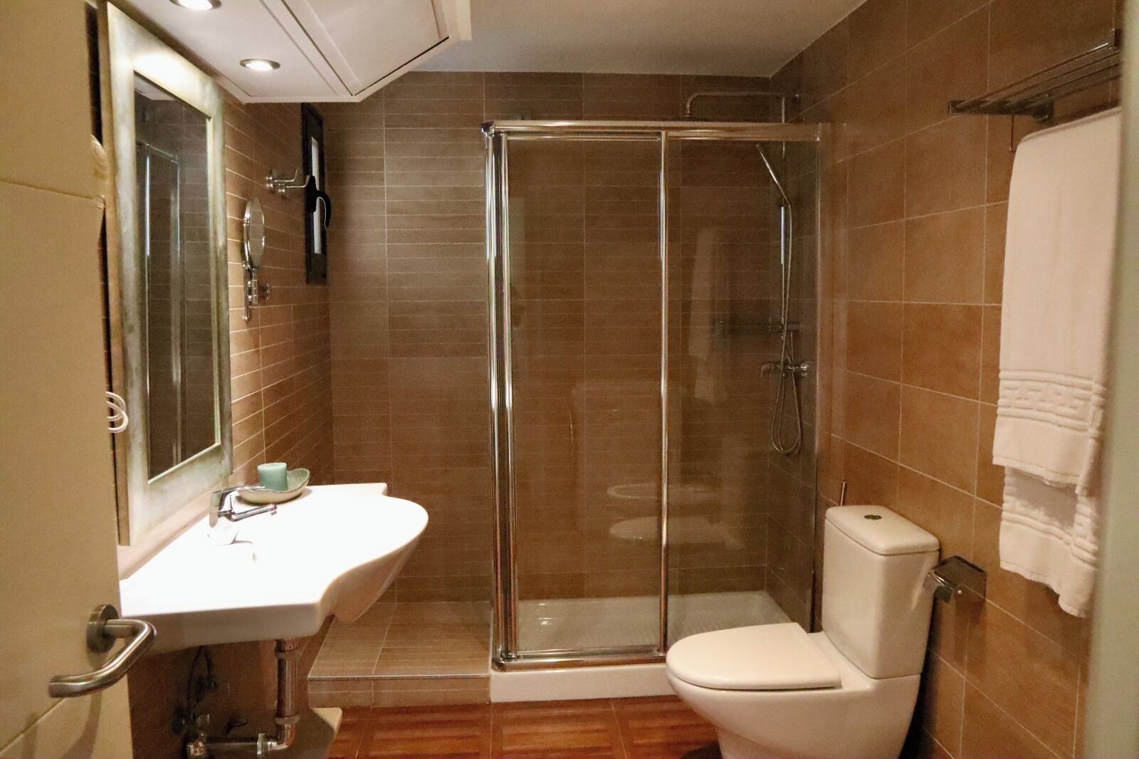 Ein modernes Badezimmer mit einer Duschkabine, einer weißen Toilette und einem Waschbecken mit Spiegel.