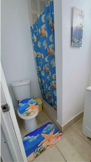 Hair dryer, towels, soap, toilet paper