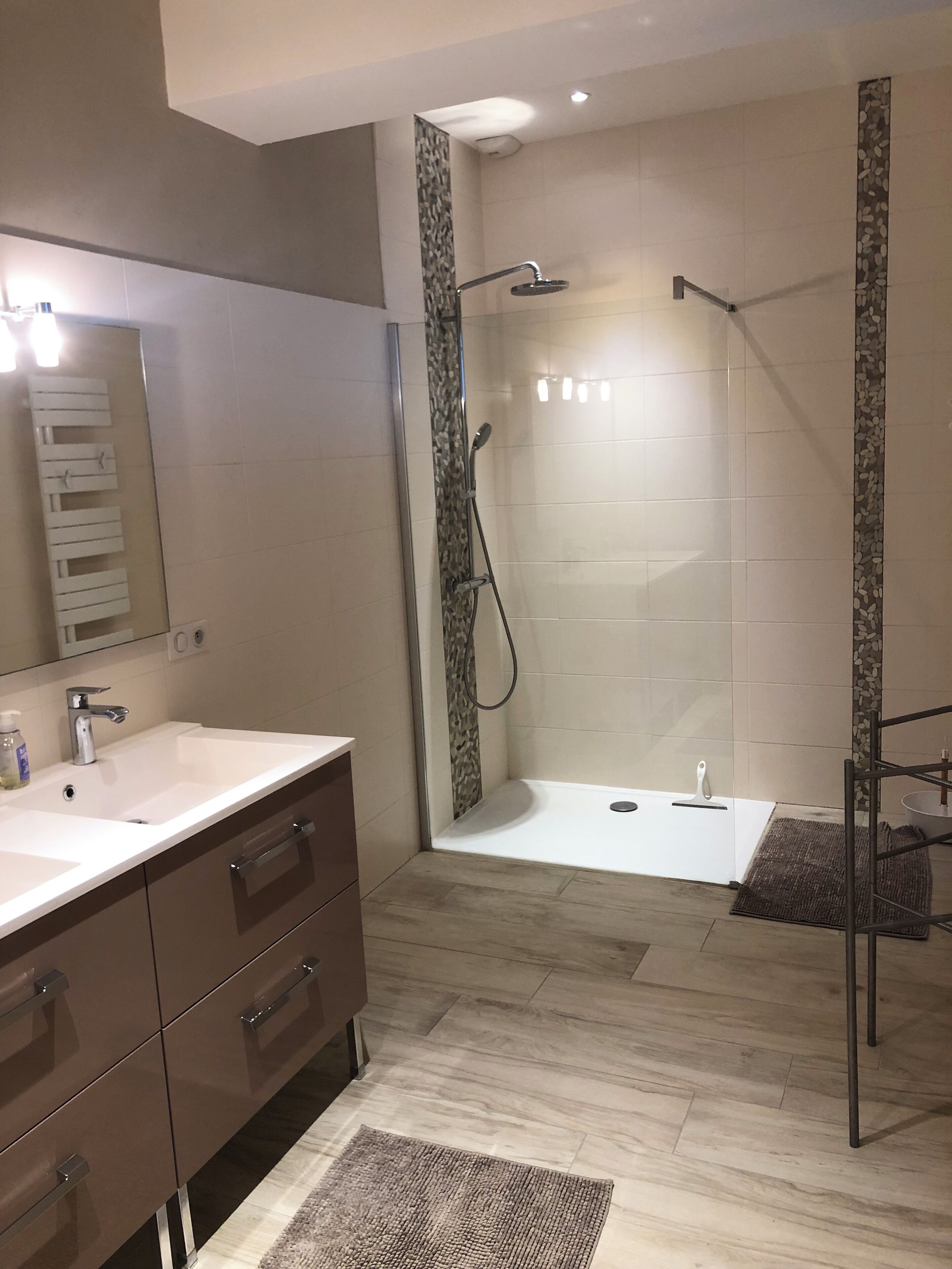 Shower, hair dryer, toilet paper