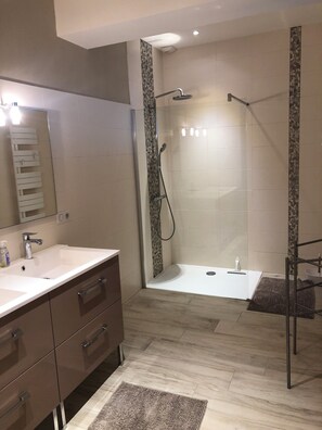 Shower, hair dryer, toilet paper