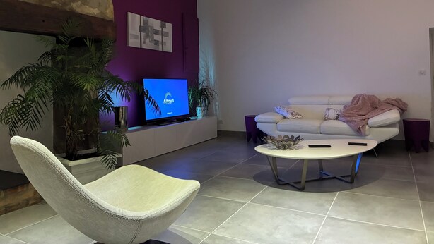 Un salon moderne avec un téléviseur à écran plat, un canapé blanc, une table basse ronde et une grande plante en pot.