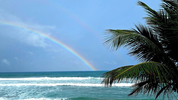 Unclassified image, 1 of 9, button - Camping Oasis Steps from the Beach (aguada)