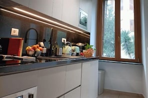 Fridge, oven, stovetop, toaster