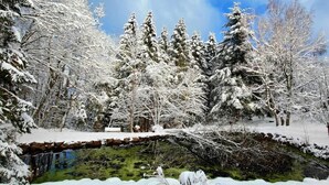 Un paysage hivernal avec des arbres couverts de neige et un étang.
