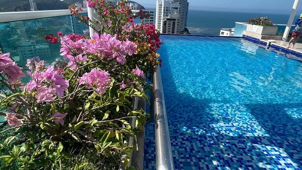 A pool with blue mosaic tiles, surrounded by pink flowers, and overlooking a cityscape with a clear sky. - Style and comfort by the Caribbean (Gaira)