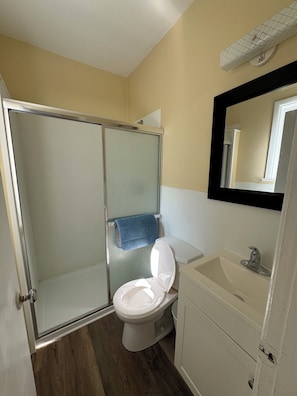 Hair dryer, towels, soap, toilet paper