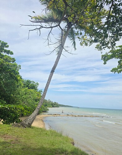 Rest in Paradise, Pool, Beach, BBQ, and Terrace. Near main attractions of Samaná