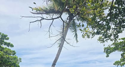 Rest in Paradise, Pool, Beach, BBQ, and Terrace. Near main attractions of Samaná