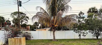 Pet Friendly Guesthouse Near the Beach/Downtown