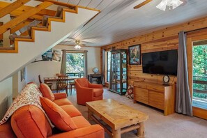 Smart TV, fireplace, books