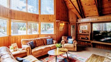 Smart TV, fireplace, video games, DVD player