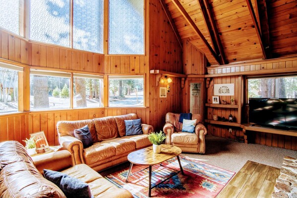 Smart TV, chimenea, videojuegos y reproductor de DVD 