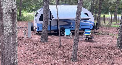 Luxury Retreat RV with AC&Heat